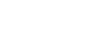 brava-logo-white